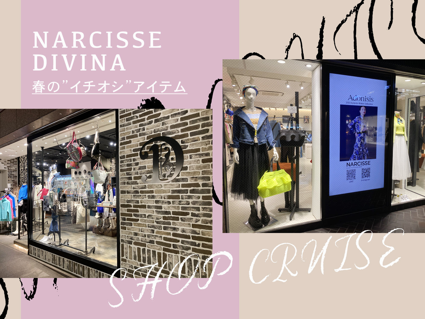 【SHOP CRUISE】NARCISSE DIVINA 春の”イチオシ”アイテム