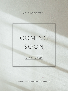 サイドラメラインタートルニット